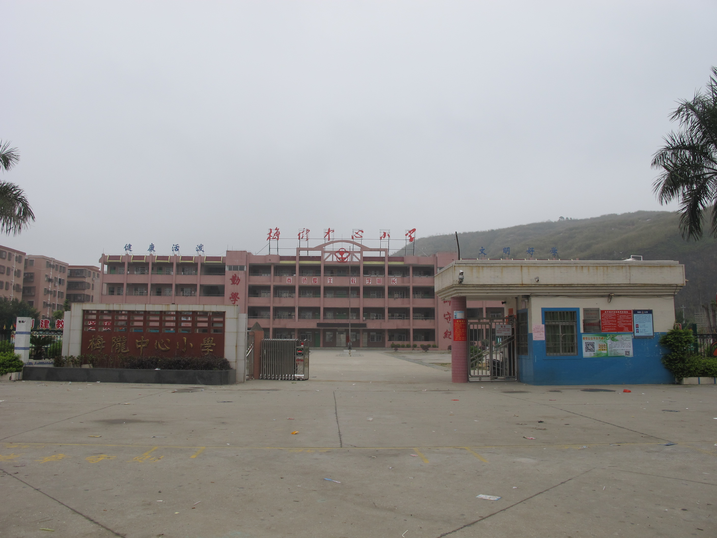 梅陇中心小学简介