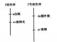 588536fb718d6c0551c435eed130516