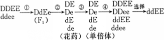 学科网(www.zxxk.com)--教育资源门户，提供试卷、教案、课件、论文、素材及各类教学资源下载，还有大量而丰富的教学相关资讯！